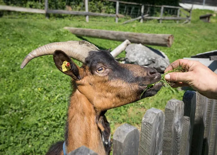 Paradies - Schrempfgut 3*